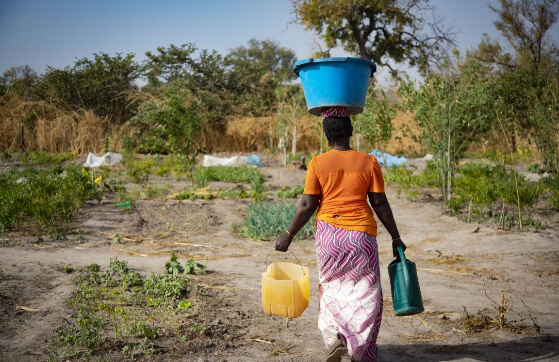 Pouvoir économique des femmes 
