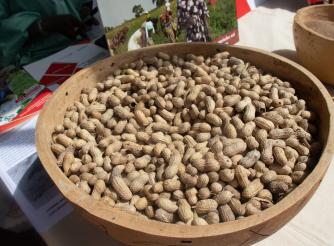 Exacerbated food prices following Ukraine war